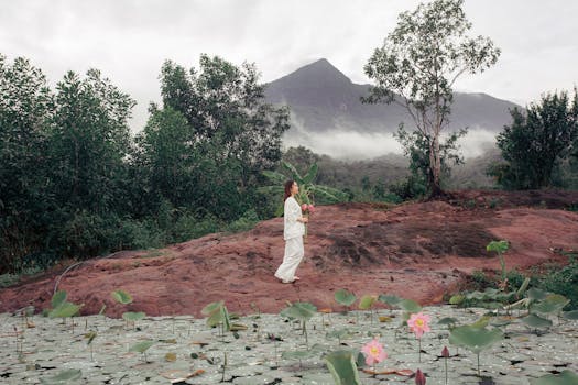 calm nature scene to signify peace of mind