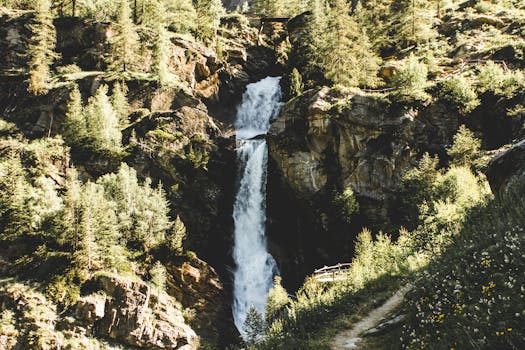 beautiful landscape with a hiking trail