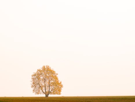 meditation in a quiet space