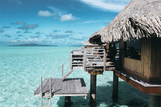 serene beach view