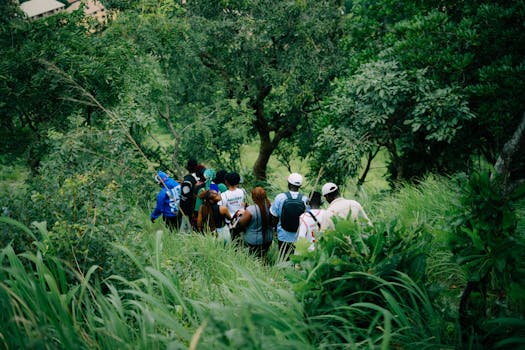 nature hiking trail