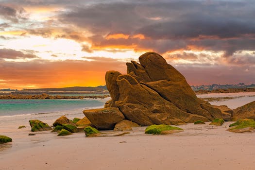 a calm peaceful beach