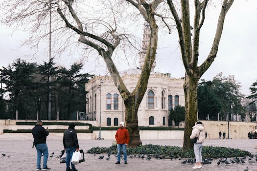 person walking in nature