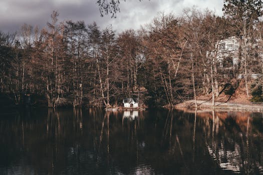 peaceful park setting